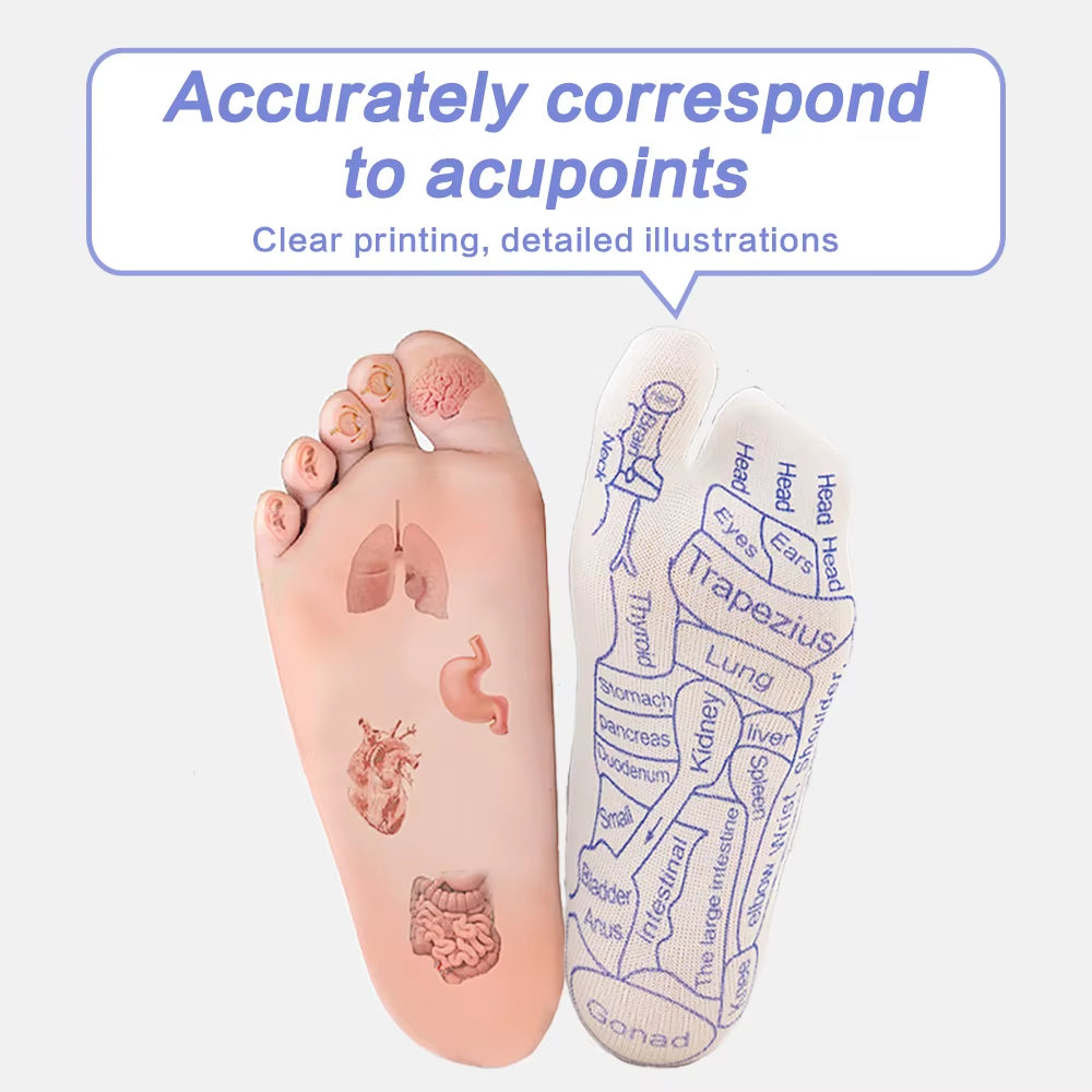 Foot Massage Socks Acupressure Reflexology Socks Foot Point Tool Physiotherapy Sock with Stick Massage Foot Point Diagram Socks